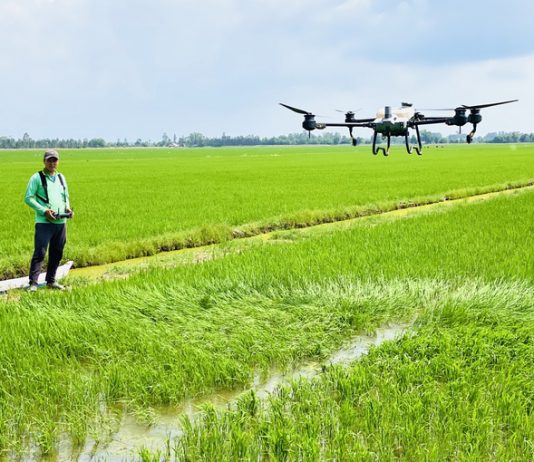 Giải pháp đột phá chuyển tư duy sản xuất nông nghiệp sang kinh tế nông nghiệp