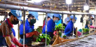 Hà Nội sẽ giảm 30% thủ tục hành chính để hỗ trợ doanh nghiệp