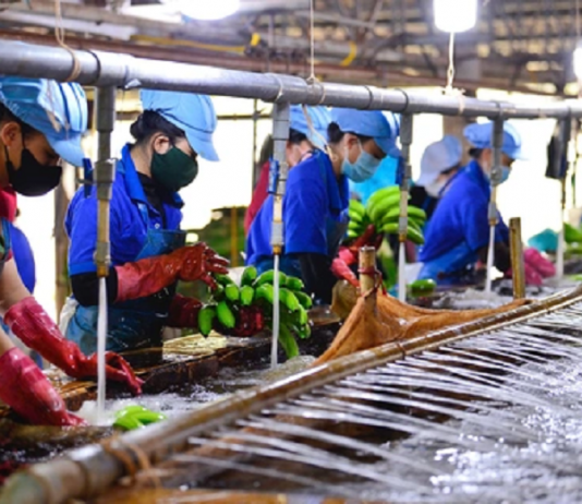 Hà Nội sẽ giảm 30% thủ tục hành chính để hỗ trợ doanh nghiệp