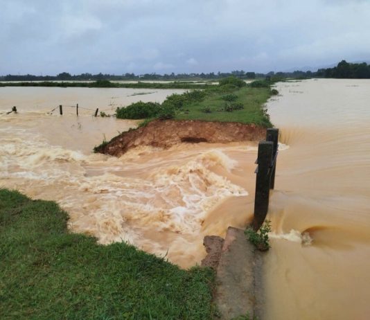 Hà Tĩnh: Mưa lớn gây ngập lụt diện rộng, nhiều thiệt hại về tài sản và hoa màu