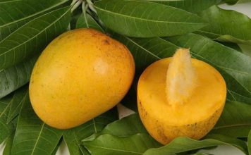 Lợi ích của hạt xoài với sức khỏe, chớ dại bỏ đi