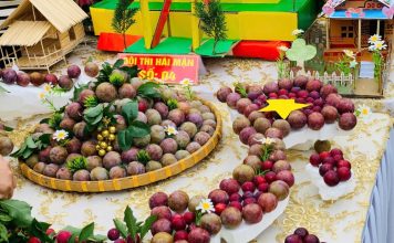 Sơn La: Sôi động ngày hội hái mận ở vùng cao Phiêng Khoài