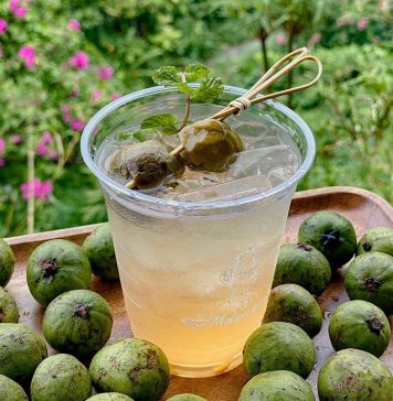 Những người không nên uống nước sấu