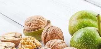 Cây óc chó – Vị thuốc chữa bệnh tim mạch hiệu quả