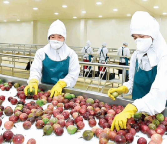 Đông Nam Á – Sân nhà bị bỏ ngỏ