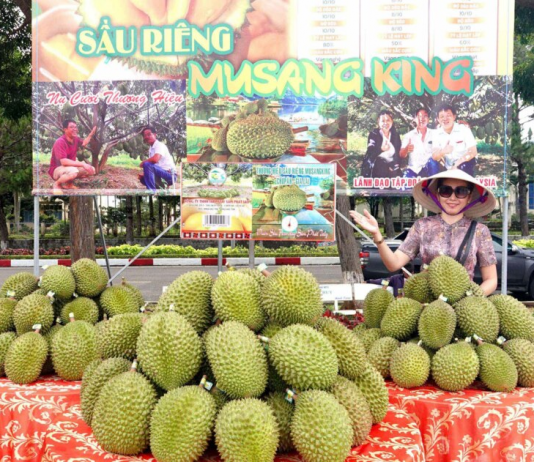 Gia Lai: Thương mại về bản, nông sản ra phố