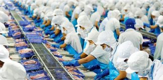 Thủy sản Việt Nam đa dạng sản phẩm và nâng cao giá trị nhằm đảm bảo tăng trưởng xuất khẩu