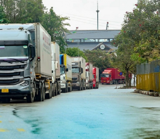 Trung Quốc siết quy định, nông sản xuất khẩu thay đổi ra sao?