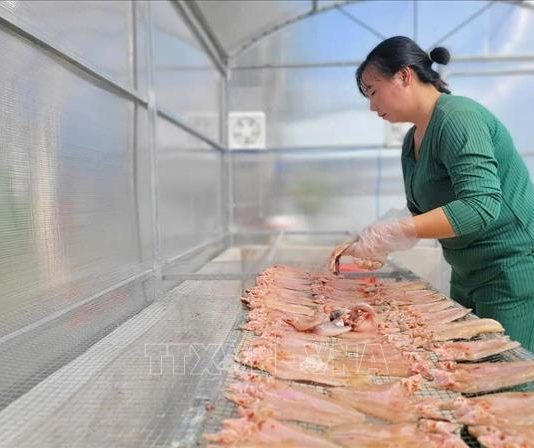 Ứng dụng công nghệ, chuyển sản xuất nông nghiệp theo hướng ‘thuận thiên’