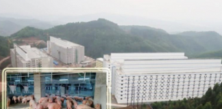 BAF Việt Nam muốn xây trại lợn 6 tầng đầu tiên tại Việt Nam