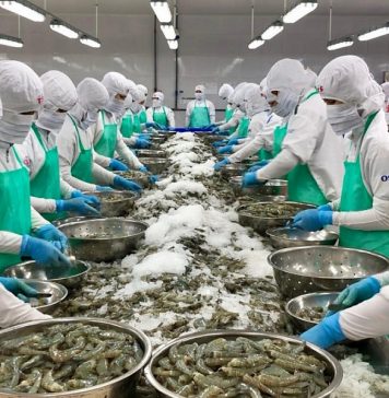 Biến áp lực thành cơ hội mở rộng tăng trưởng