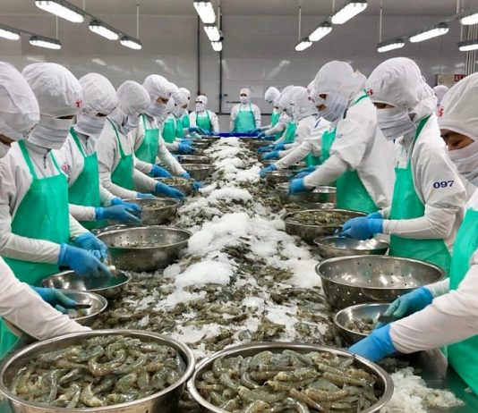 Biến áp lực thành cơ hội mở rộng tăng trưởng