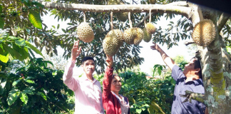 Gia Lai: Làng Kênh thoát nghèo nhờ “cần câu” từ Ngân hàng Chính sách xã hội