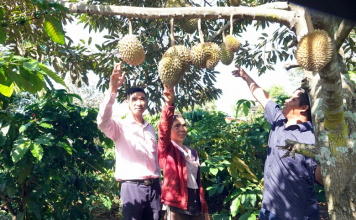 Gia Lai: Làng Kênh thoát nghèo nhờ “cần câu” từ Ngân hàng Chính sách xã hội