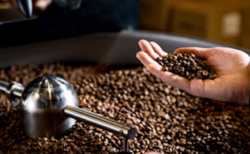 Giá cà phê tại nhà máy 235.000 đồng/kg, vì sao thị trường chỉ bán 130.000 đồng?