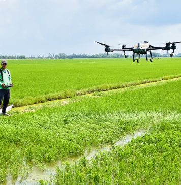 Giải pháp đột phá chuyển tư duy sản xuất nông nghiệp sang kinh tế nông nghiệp