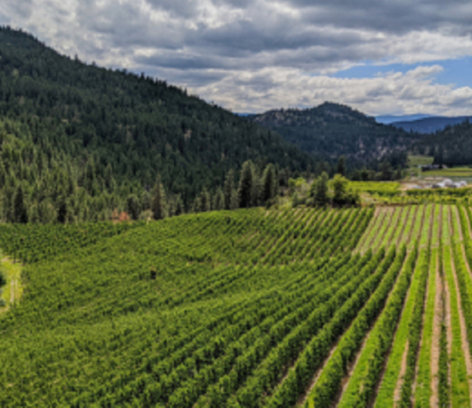 Mekong Capital sắp ra mắt quỹ đầu tư xanh 200 triệu USD: Cơ hội vàng cho nông nghiệp Việt