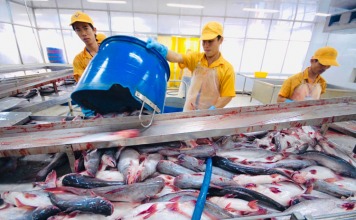 Mỹ giữ thuế chống bán phá giá 0% cho nhiều nhà xuất khẩu cá tra Việt Nam