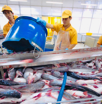 Mỹ giữ thuế chống bán phá giá 0% cho nhiều nhà xuất khẩu cá tra Việt Nam