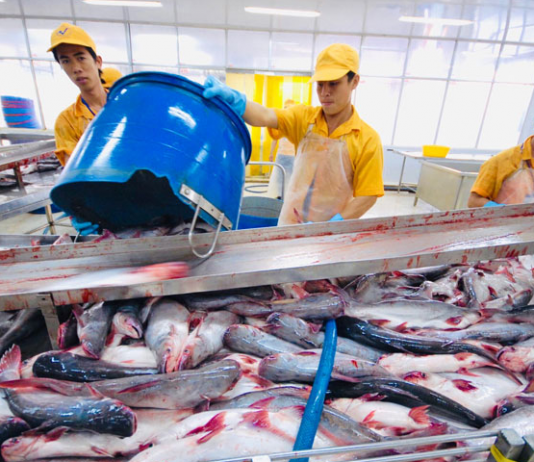 Mỹ giữ thuế chống bán phá giá 0% cho nhiều nhà xuất khẩu cá tra Việt Nam