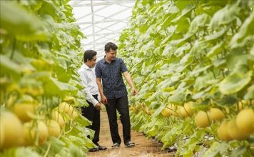 Ứng dụng công nghệ cao để tăng hiệu quả chuỗi giá trị nông sản