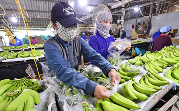 Xuất khẩu nông sản tăng trưởng mạnh trong 4 tháng đầu năm 2025