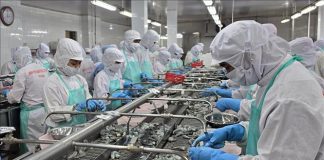 Xuất khẩu thủy sản với khả năng vươn tới mốc 11 tỷ USD