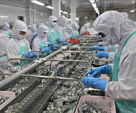 Xuất khẩu thủy sản với khả năng vươn tới mốc 11 tỷ USD