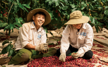 Biến động giá nông sản toàn cầu: Việt Nam đối mặt và thích nghi