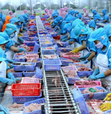 Hai kịch bản cho xuất khẩu thủy sản Việt Nam nửa cuối năm 2025