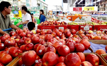 Nhiều loại rau quả Trung Quốc trong nhóm nguy cơ rủi ro rất cao