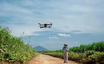 Hợp tác Gia Lai – AgriS: Hướng đến nông nghiệp xanh và chế biến sâu