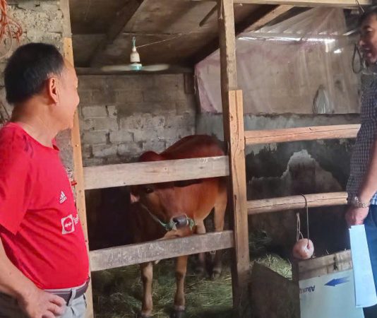 Bắc Ninh: Đẩy mạnh khởi nghiệp – Tạo sinh kế ổn định gắn với chương trình giảm nghèo bền vững