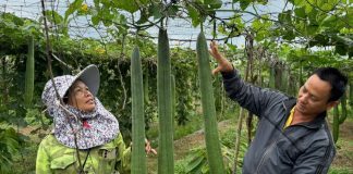 Kinh tế tuần hoàn – xu hướng tất yếu cho nền nông nghiệp hiện đại