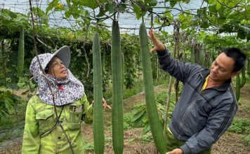 Kinh tế tuần hoàn – xu hướng tất yếu cho nền nông nghiệp hiện đại