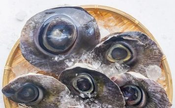 Đặc sản “độc nhất vô nhị” ở Phú Yên, khiến thực khách “toát mồ hôi” khi nếm thử nhưng ăn rồi thì nghiện