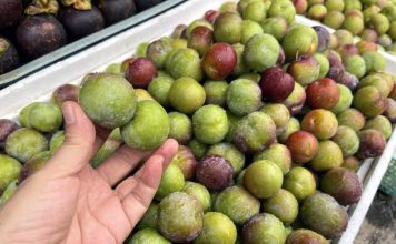 Đào mận Trung Quốc núp bóng nông sản Việt Nam