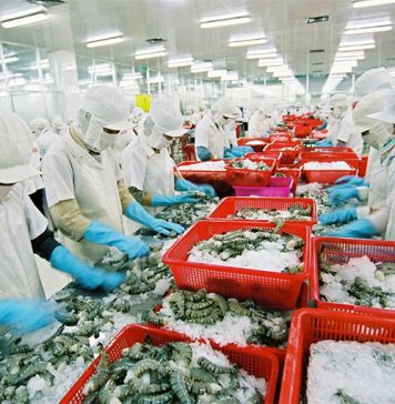 Ngành chế biến, chế tạo – “đầu tàu” tăng trưởng kinh tế