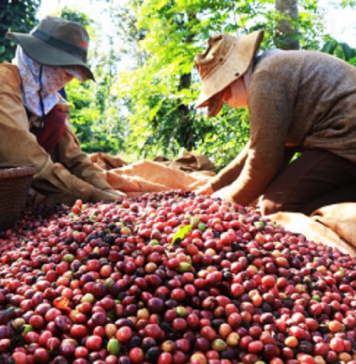 Ngành nông nghiệp tăng tốc, mục tiêu xuất khẩu 65 tỷ USD năm 2025 trong tầm tay