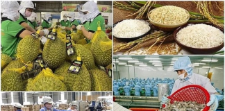 Nông lâm thủy sản và sầu riêng sẽ được ưu tiên thông quan