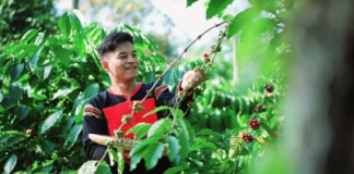 Nông nghiệp tư nhân – Từ kẻ theo sau thành người tiên phong chuyển đổi số