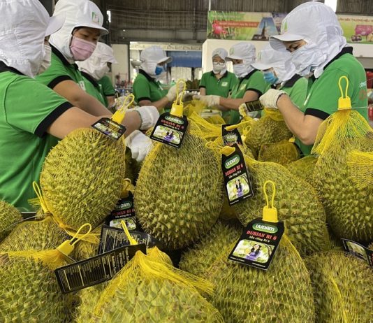 Sầu riêng đông lạnh xuất khẩu tăng gấp 3 lần
