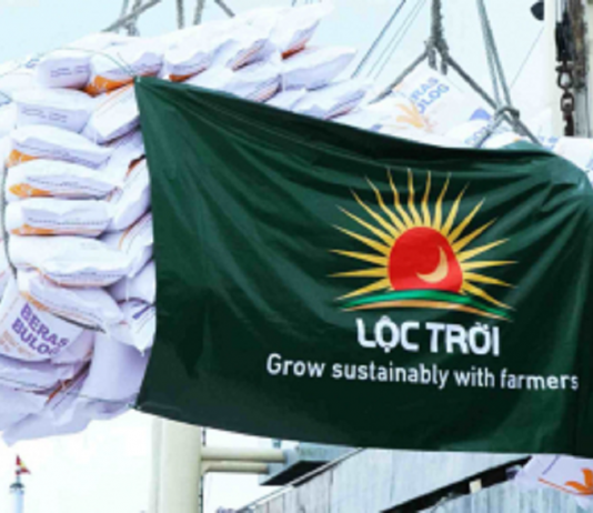 “Ông trùm” lúa gạo Lộc Trời dự kiến lỗ 500 tỷ đồng trong năm 2025
