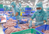 Xuất khẩu cá tra sang EU khởi sắc đầu năm 2025, nhưng vẫn còn nhiều “điểm nghẽn”