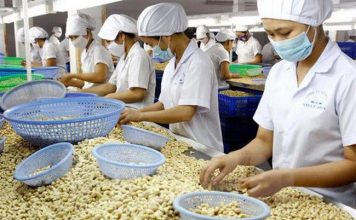 Mở rộng thị trường mới để xuất khẩu hạt điều