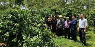 HAGL hợp tác với Viện Khoa học Kỹ thuật Nông lâm nghiệp Tây Nguyên