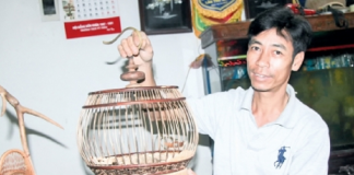 Làm giàu khác người: Kiếm bộn tiền nhờ “xây tổ ấm” cho chim cu gáy