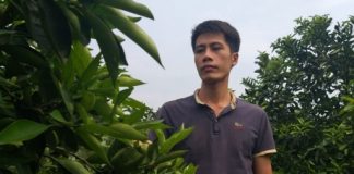 Bỏ lương hơn chục triệu/tháng, trai 8x về làm giàu từ cây ăn quả