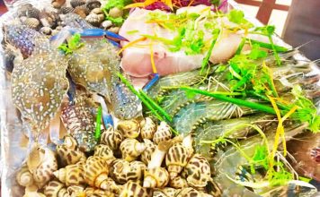 Những lưu ý nhằm tránh ngộ độc hải sản