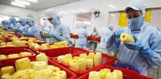 Ngành chế biến, chế tạo – “đầu tàu” tăng trưởng kinh tế